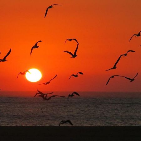 Serena Beach 3 Nazare Bagian luar foto